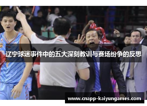 辽宁球迷事件中的五大深刻教训与赛场纷争的反思