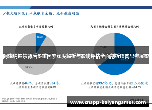 阿森纳遭禁背后多重因素深度解析与影响评估全面剖析指南思考展望