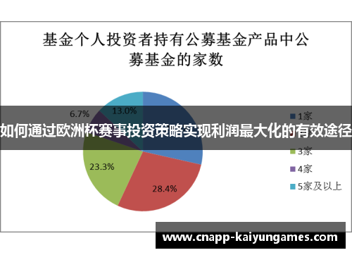 如何通过欧洲杯赛事投资策略实现利润最大化的有效途径
