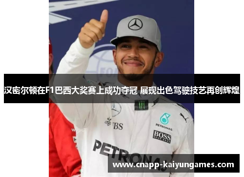 汉密尔顿在F1巴西大奖赛上成功夺冠 展现出色驾驶技艺再创辉煌