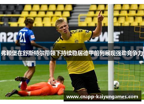 弗赖堡在舒斯特尔带领下持续稳居德甲前列展现强劲竞争力