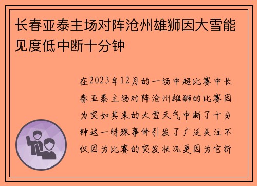 长春亚泰主场对阵沧州雄狮因大雪能见度低中断十分钟